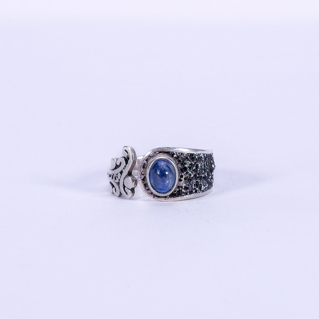 Sapphire and Silver Ring - Riche